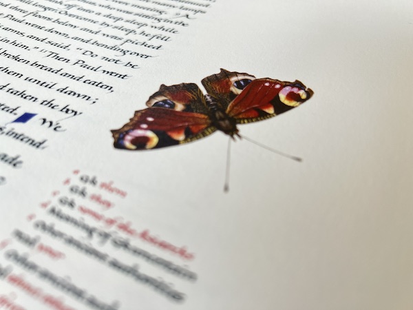 A butterfly illumination from The Saint John's Bible Heritage Edition