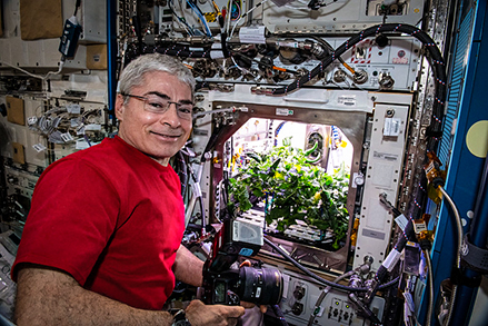Photo courtesy of NASA: NASA astronaut and Expedition 66 Flight Engineer Mark Vande Hei prepares to photograph chili peppers growing in the Advanced Plant Habitat as part of the Plant Habitat-04 experiment being conducted aboard the International Space Station. 